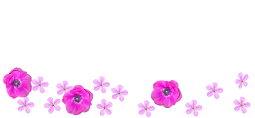 Frühling, Blütenbanner pink und rosa, transparenter Hintergrund