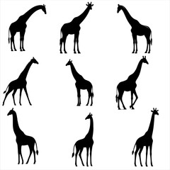 silhouettes of  giraffe silhouettes , set of animals silhouettes