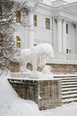 Sculpture of a lion in winter in St. Petersburg
