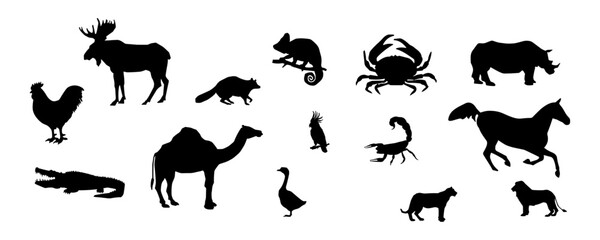 Collection of animal silhouettes. Collection of animal silhouettes. Isolated on White background