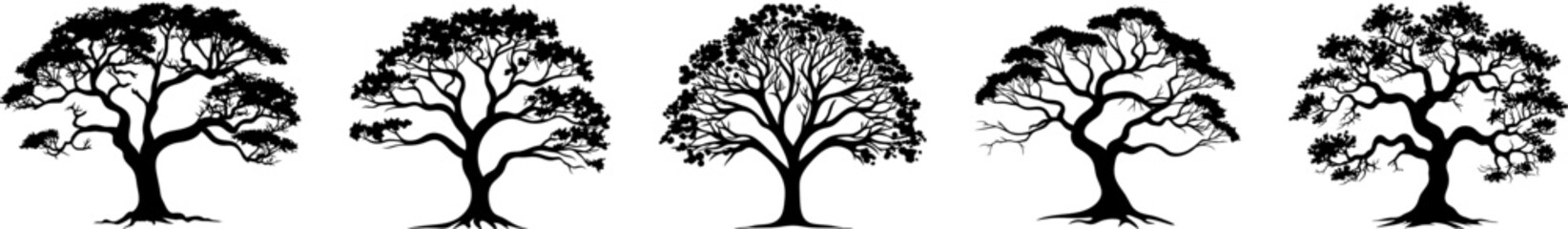 Tree silhouettes, vector, conifers, etc. - obrazy, fototapety, plakaty