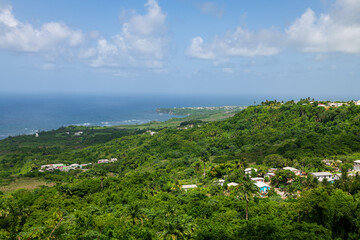 Fototapeta na wymiar Barbados: view of the wild green atlantic coast.