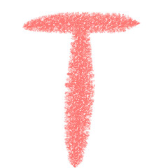 starfish on white background