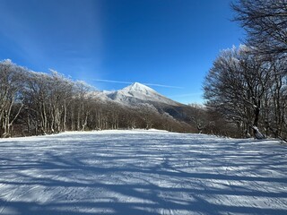 2023年の12月の福島県のネコママウンテンの旧アルツ磐梯側の南エリア