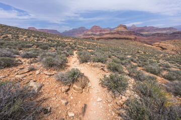 hiking the tonto trail in the grand canyon national park, arizona, usa
