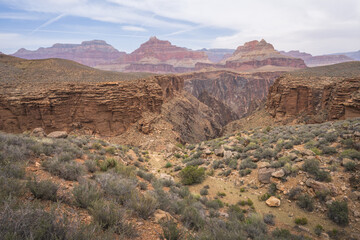 hiking the tonto trail in the grand canyon national park, arizona, usa