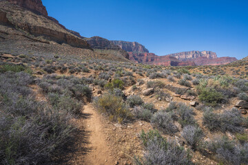 hiking the tonto trail in the grand canyon national park, arizona, usa
