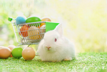 bunny easter concept,young adorable rabbit with easter eggs