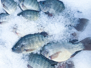 Fresh seafood on crushed ice, close-up. frozen raw sea fish on crushed ice bed in the fishmarket shelf