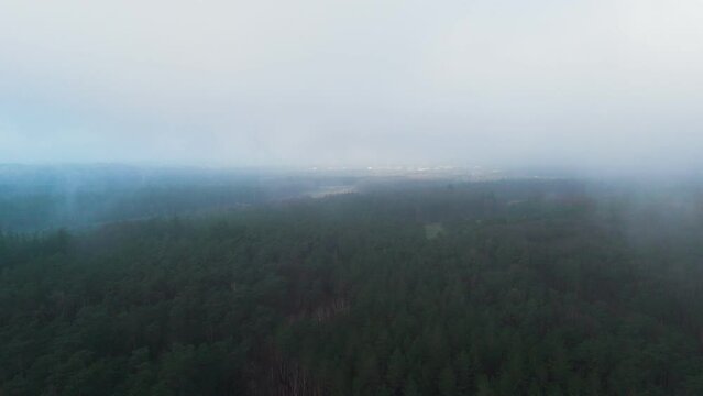 Misty forest Aerial near Baarn, the Netherlands