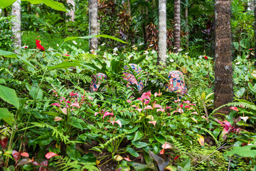Naklejka na ściany i meble Flower Forest Botanical Garden, Barbados: tropical flowers in the lush vegetation inside the forest.