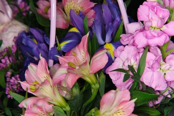 Close-up of pink and blue flowers in one holiday bouquet.                             