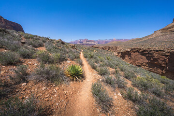 hiking the tonto trail in the grand canyon national park, arizona, usa