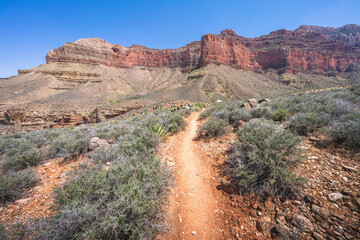 hiking the tonto trail in the grand canyon national park, arizona, usa
