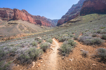 hiking the tonto trail in the grand canyon national park, arizona, usa