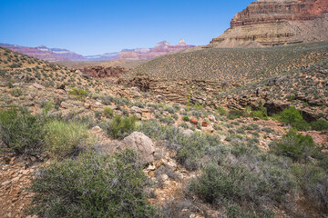 hiking the tonto trail in the grand canyon national park, arizona, usa
