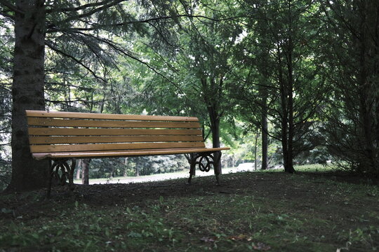 un banc de parc