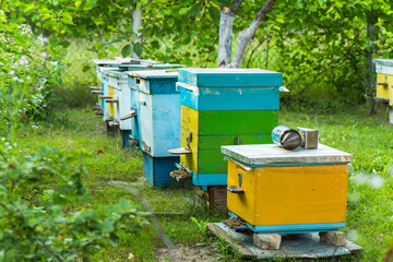 Close up of flying bees. Wooden beehive and bees. Plenty of bees at the entrance of old beehive in apiary. Working bees on plank. Frames of a beehive.