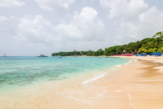 Barbados: view of the tropical beach in Paynes Bay.