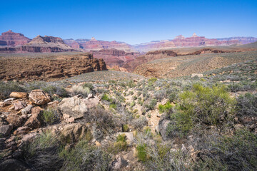hiking the tonto trail in the grand canyon national park, arizona, usa