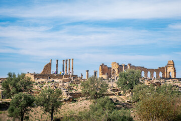 モロッコの古代ローマ遺跡ヴォルビリス遺跡