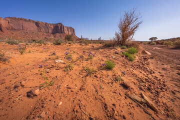 hiking the wildcat trail in monument valley, arizona, usa