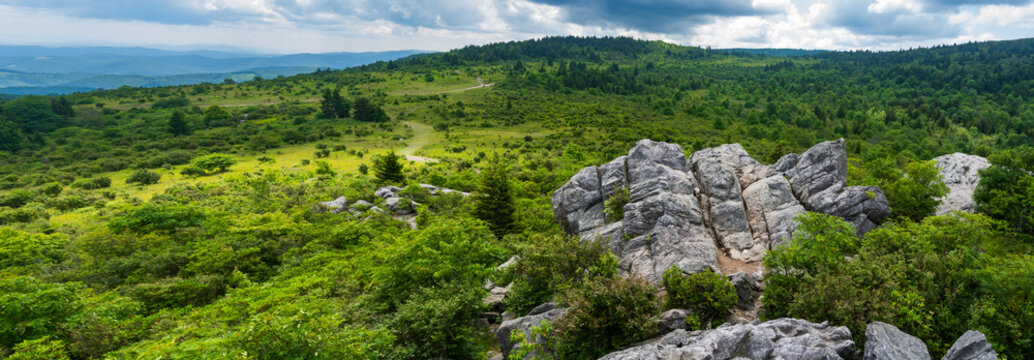 Panorama of giant granite boulders among green meadows on a mountaintop in Grayson Highlands State Park, Virginia