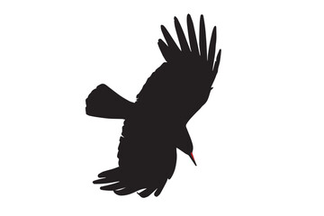 Flying crow. Vector images. White background. 
