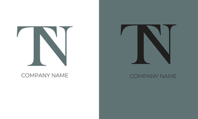 Minimal and unique TN letter logo for business and corporate identity and branding. TN logo for luxury elegant branding.