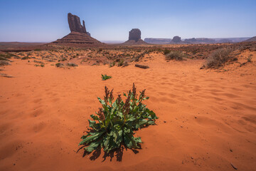 hiking the wildcat trail in monument valley, arizona, usa