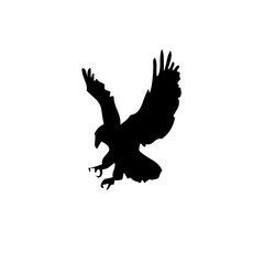 silhouette of an eagle image in PNG format
