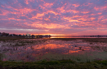 El Roco marsh, Almonte, Huelva, Andalusia, Spain, with a beautiful, pink sunrise