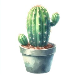 watercolor simply cactus with flower isolated on white background