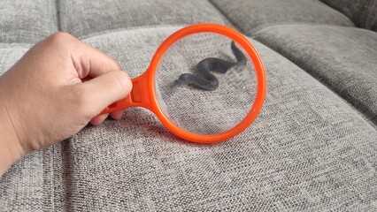 Hand holding a magnifying glass to see a black toy snake
