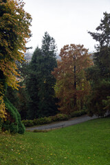 Fototapeta premium Colori Autunnali del Parco della Burcina a Biella