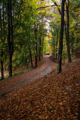 I colori Autunnali del Parco della Burcina a Biella