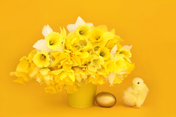 Happy Easter with Spring daffodil flower arrangement, baby toy chick and gold egg on yellow...