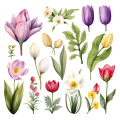 Obraz premium colorful flowers and leaves watercolor vectors