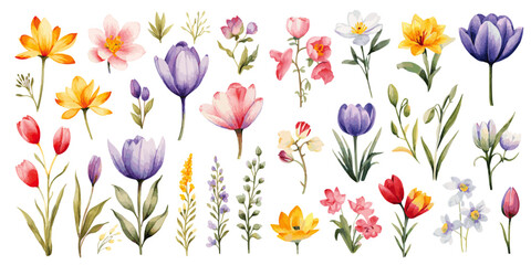 spring flowers with colorful watercolor vectors - obrazy, fototapety, plakaty