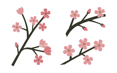 Abstract cherry blossom flowers vector clipart.