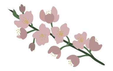 Abstract cherry blossom flowers vector clipart.