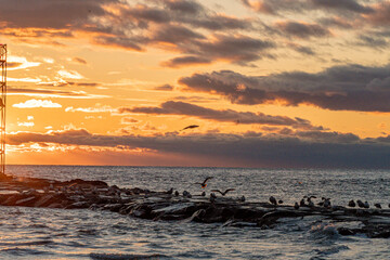 Sunrise over the Atlantic Ocean and the bell at the end of the jetty for the Avon by the Sea side of the shark river inlet