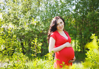 Naklejka na ściany i meble Portrait of beautiful pregnant woman in red dress
