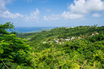 Fototapeta na wymiar Barbados: view of the wild green atlantic coast.