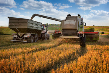 the process of loading the trailer from the combine with harvested grain in the field