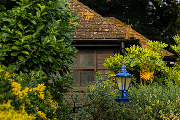 Blue lamp with brown house and green n yellow trees. - Powered by Adobe