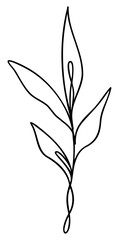 Leaf Line Art