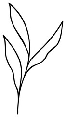 Leaf Line Art Minimalism