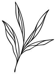 Leafy Line Art