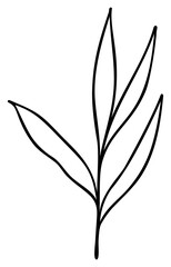 Line Art Leaves